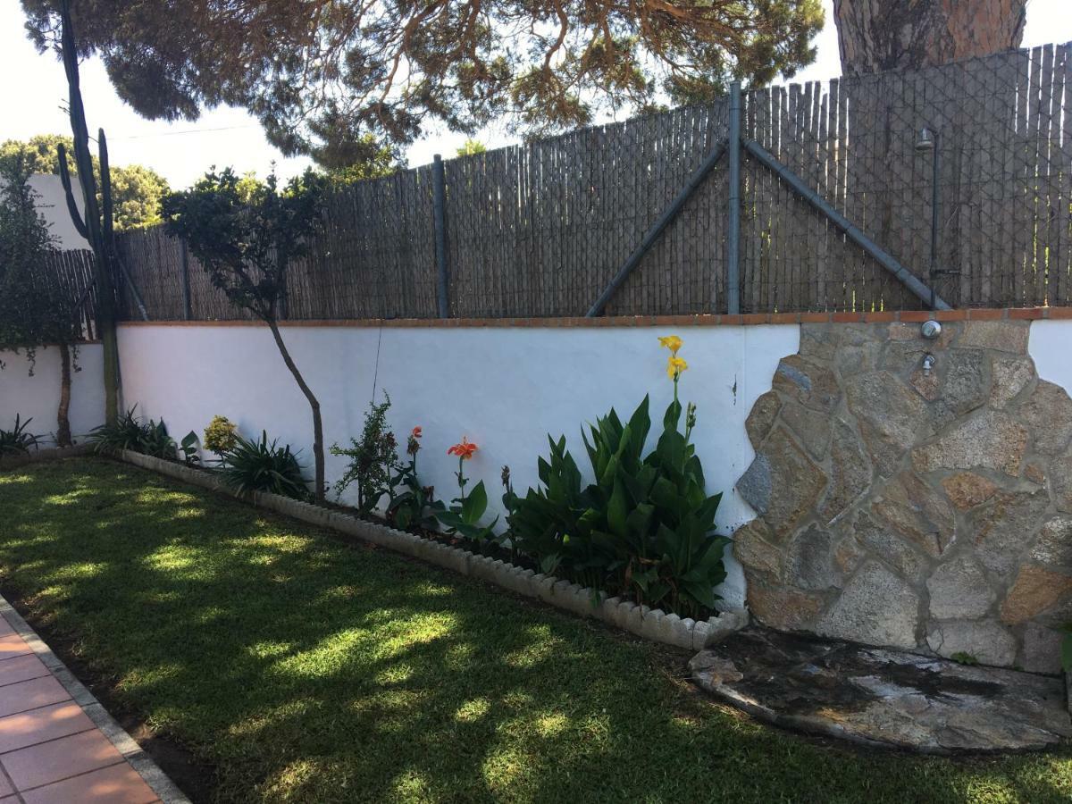 Villa Gallardo - Cerca Playa Y Pueblo - Solo Parejas O Familias Кониль-де-ла-Фронтера Экстерьер фото